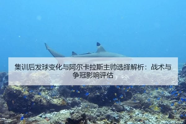 集训后发球变化与阿尔卡拉斯主帅选择解析：战术与争冠影响评估
