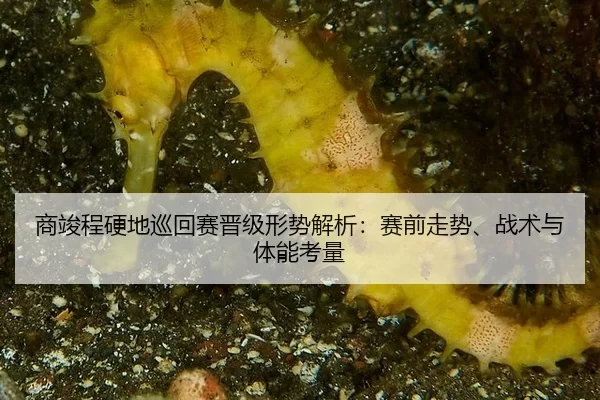 商竣程硬地巡回赛晋级形势解析：赛前走势、战术与体能考量